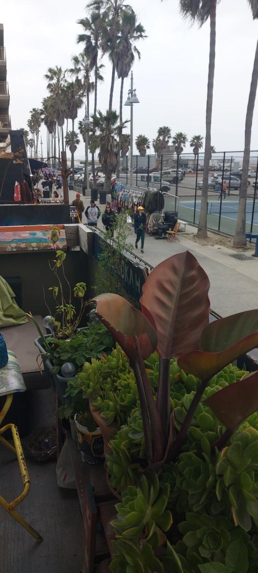 Ocean Front Vortex Female Hostel Private Rooms Free Bikes Los Ángeles Exterior foto